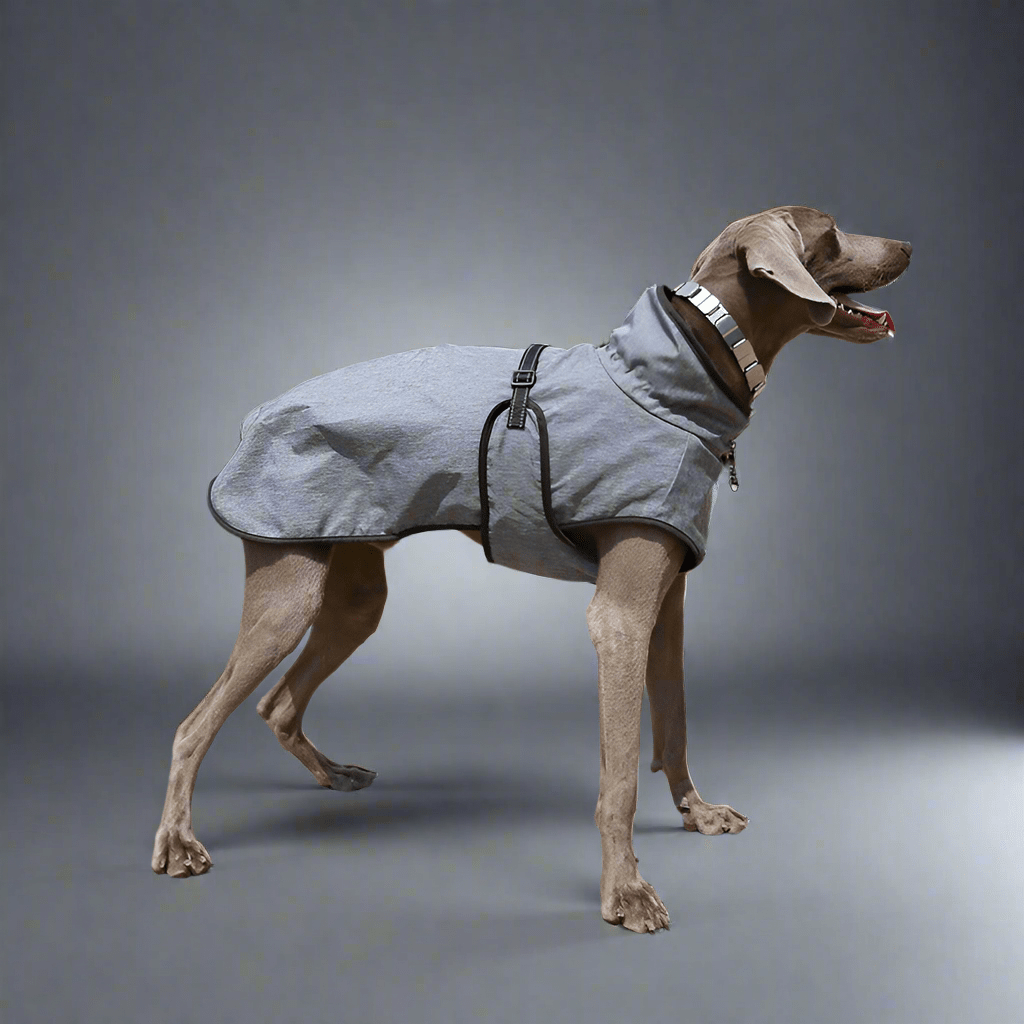 Pet Shell Jacket Dog Winter Outdoors Ski Suit - Vital