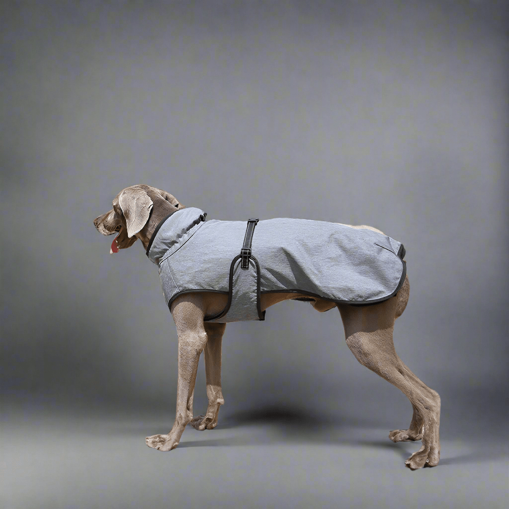 Pet Shell Jacket Dog Winter Outdoors Ski Suit - Vital