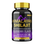 BSYS SHILAJIT GUMMIES 60'S Vital