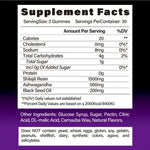BSYS SHILAJIT GUMMIES 60'S Vital