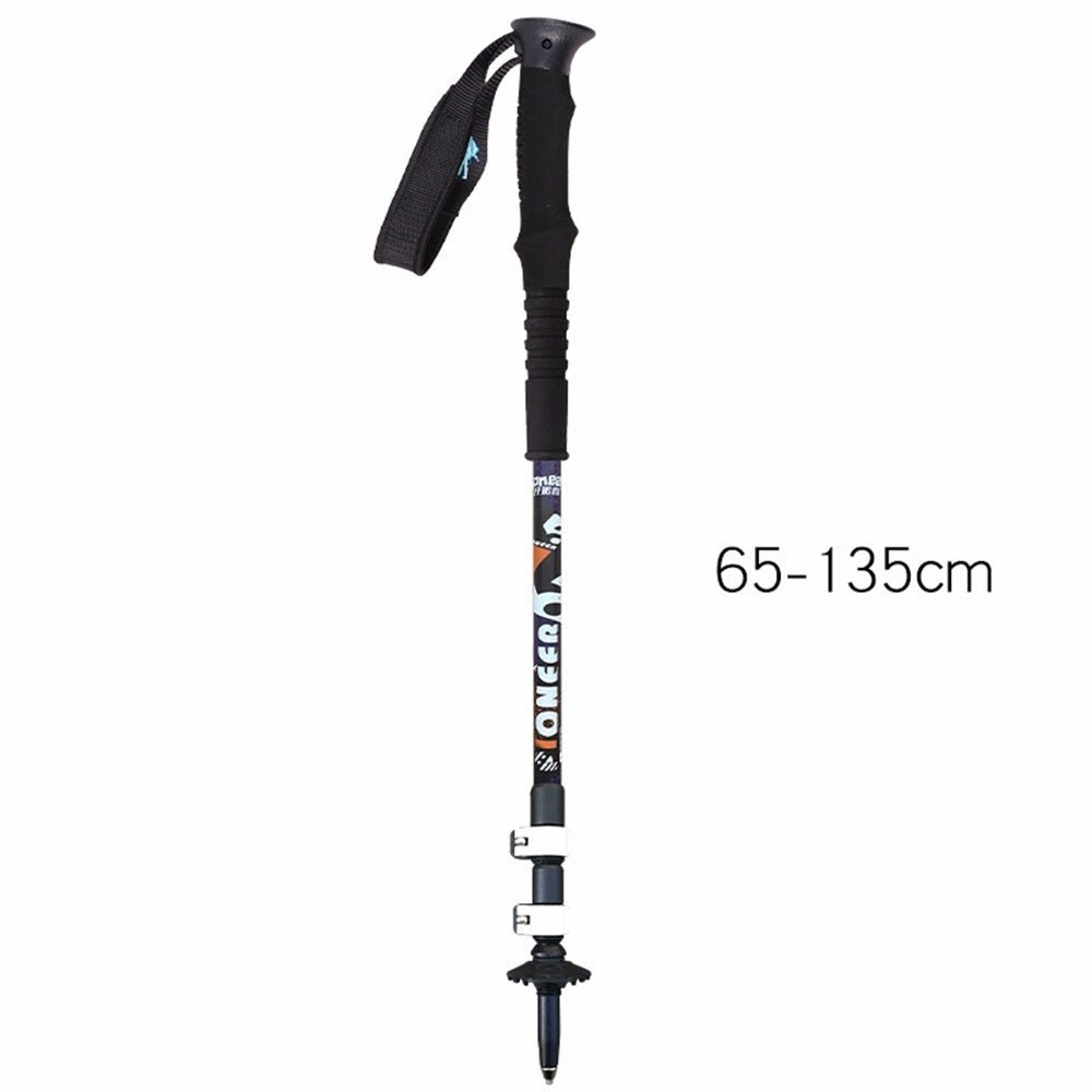 Aluminium Ski Poles - Vital