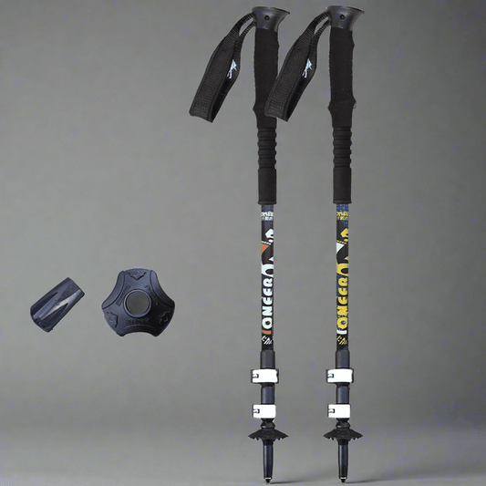 Aluminium Ski Poles - Vital