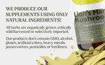 Lion’s Mane Mushroom Drops - Vital