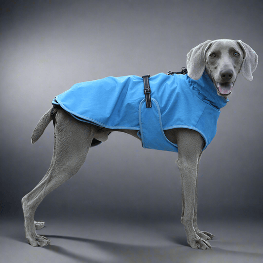 Pet Shell Jacket Dog Winter Outdoors Ski Suit - Vital