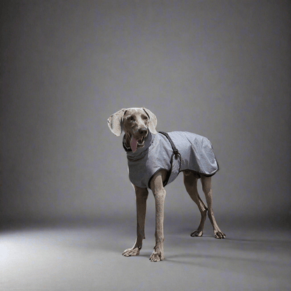 Pet Shell Jacket Dog Winter Outdoors Ski Suit - Vital