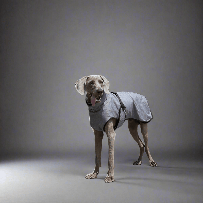 Pet Shell Jacket Dog Winter Outdoors Ski Suit - Vital