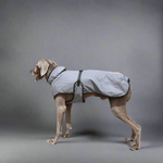 Pet Shell Jacket Dog Winter Outdoors Ski Suit - Vital
