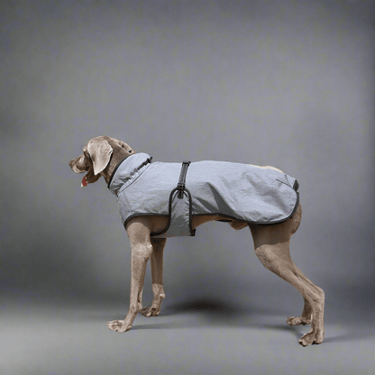 Pet Shell Jacket Dog Winter Outdoors Ski Suit - Vital