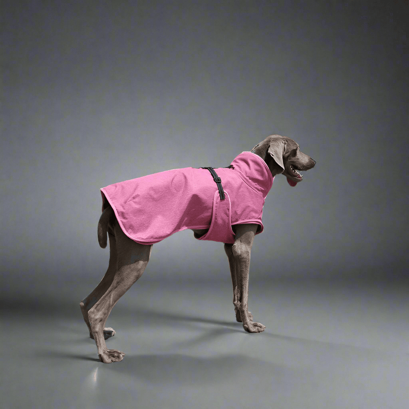 Pet Shell Jacket Dog Winter Outdoors Ski Suit - Vital