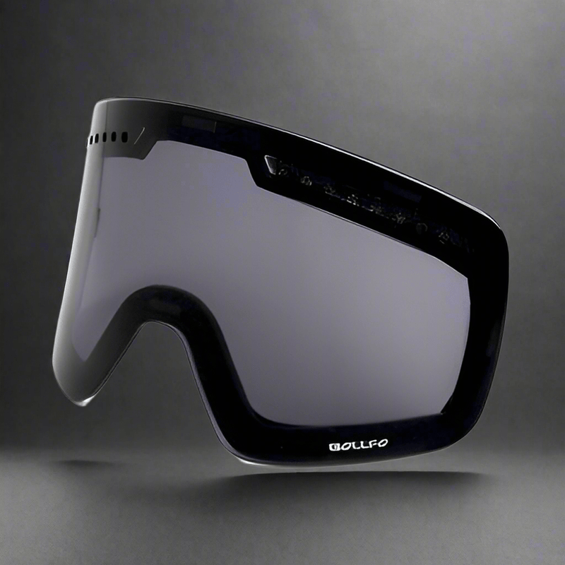 Ski goggles double ski goggles - Vital