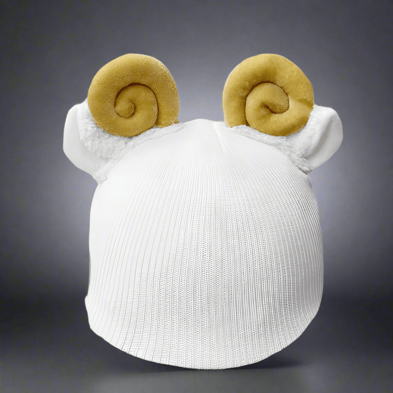 Ski Helmet Cover - Vital