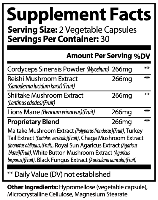 Vital | Mushroom Complex 10 X - Vital