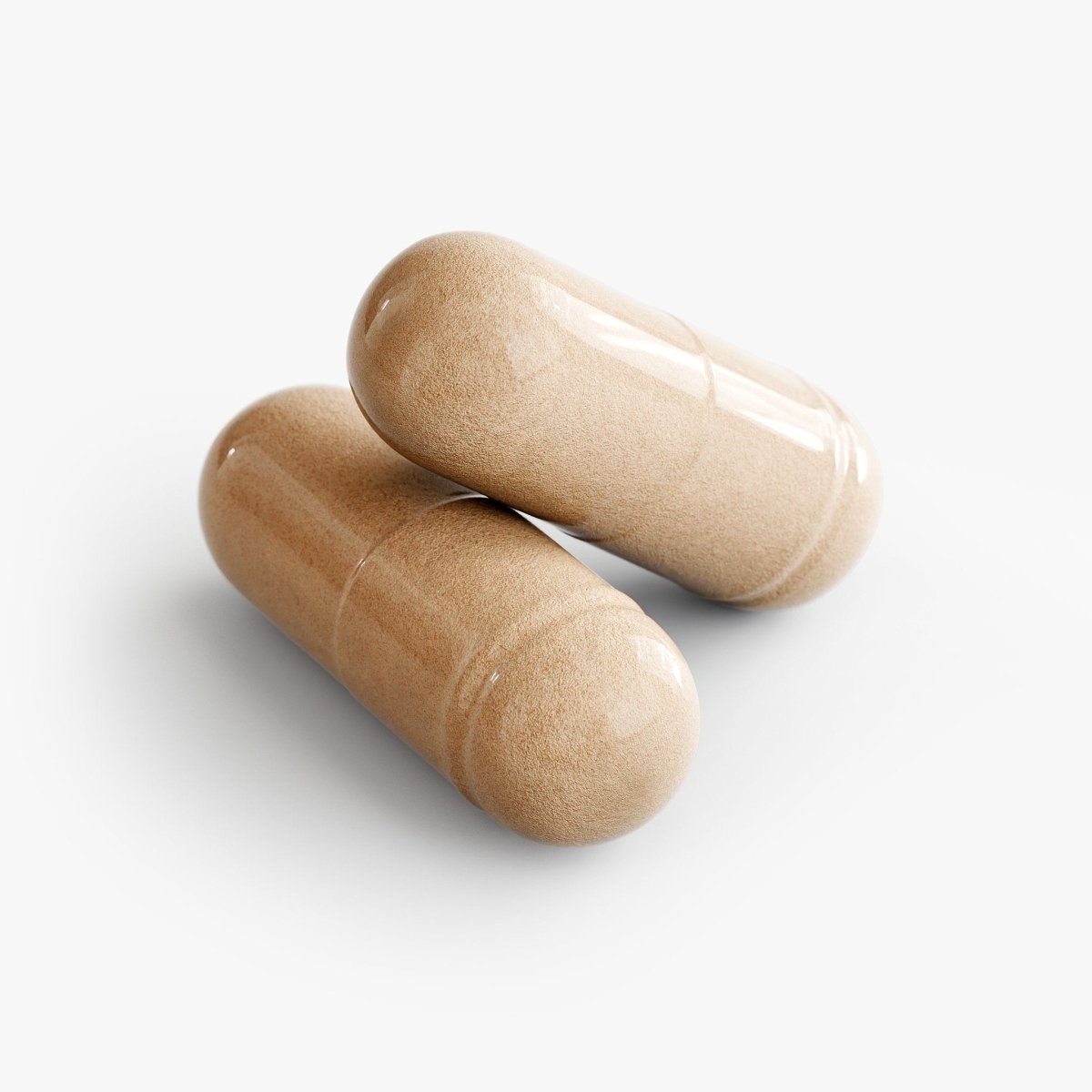 Vital | Mushroom Complex 10 X - Vital