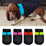 Waterproof, insulated vest for dogs - Vital