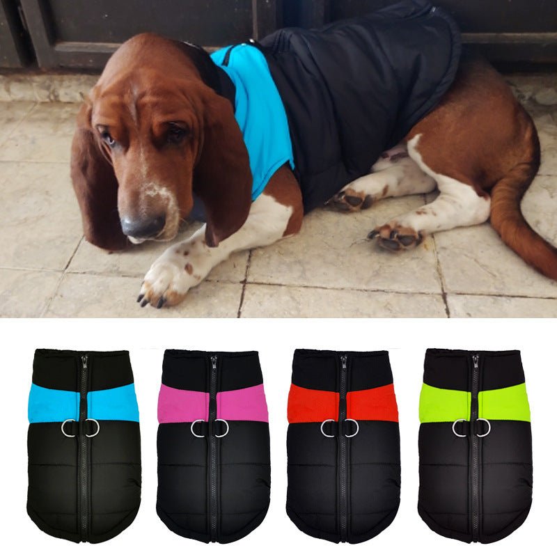 Waterproof, insulated vest for dogs - Vital
