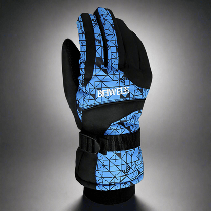 Winter ski gloves - Vital